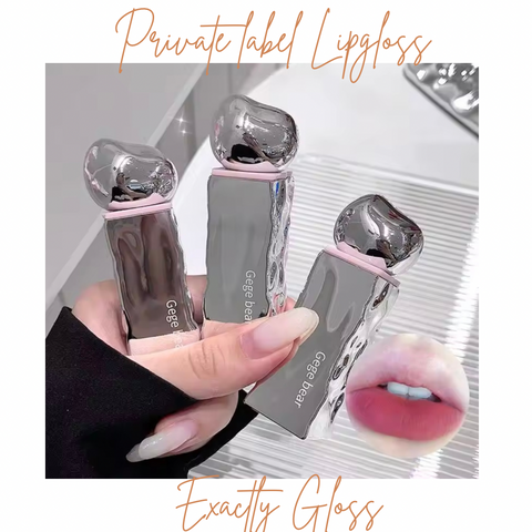 CUSTOM LIP GLOSS | PRIVATE LABEL SILVER PACKAGING LIP GLOSS | PRIVATE LABEL COSMETIC